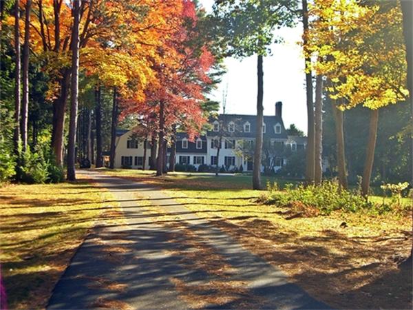 Photo: South St, Needham, MA